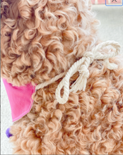 Load image into Gallery viewer, &quot;Love who you are&quot; dog bandana with soft macrame cord tie closure available with or without ribbon ruffle trim (Look for matching hair bow)
